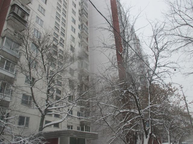 Панорама дома