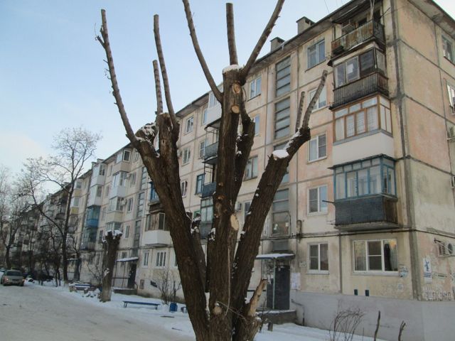 Панорама дома