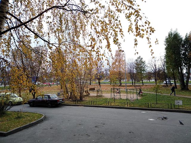 Territory