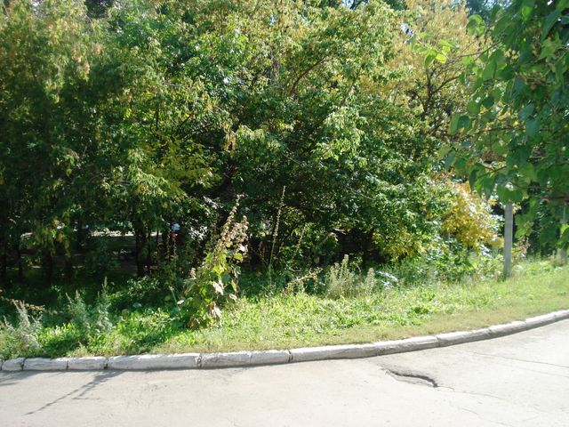 Territory