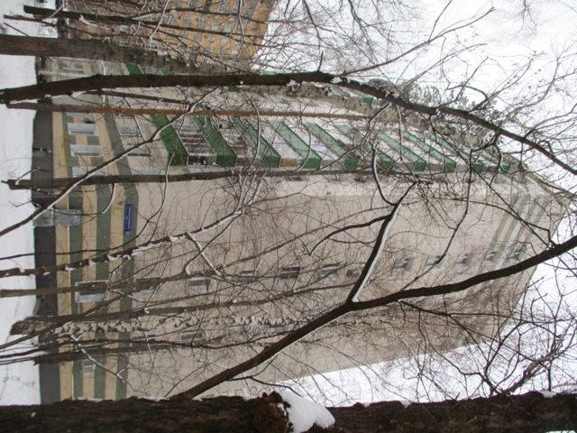 Панорама дома