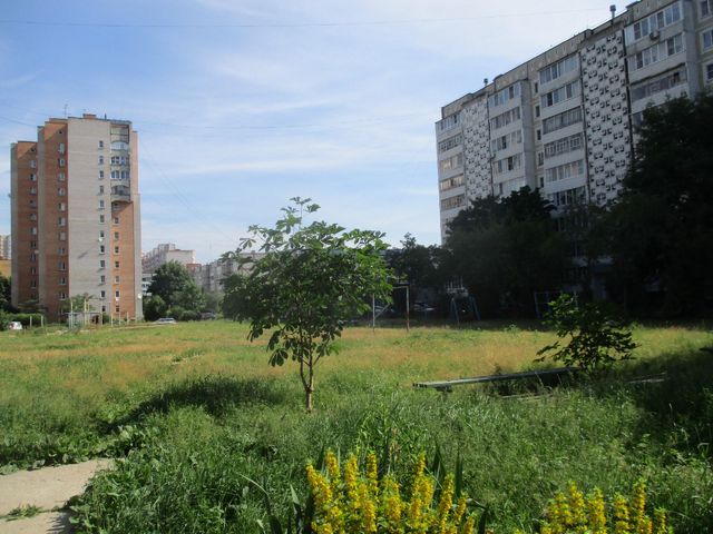 Territory