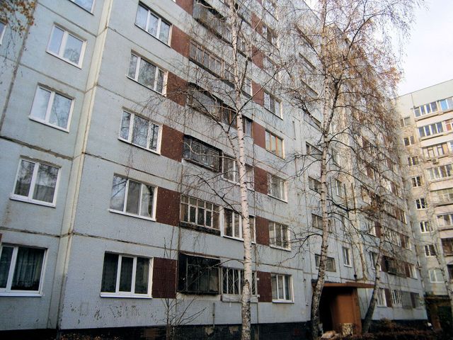 Панорама дома