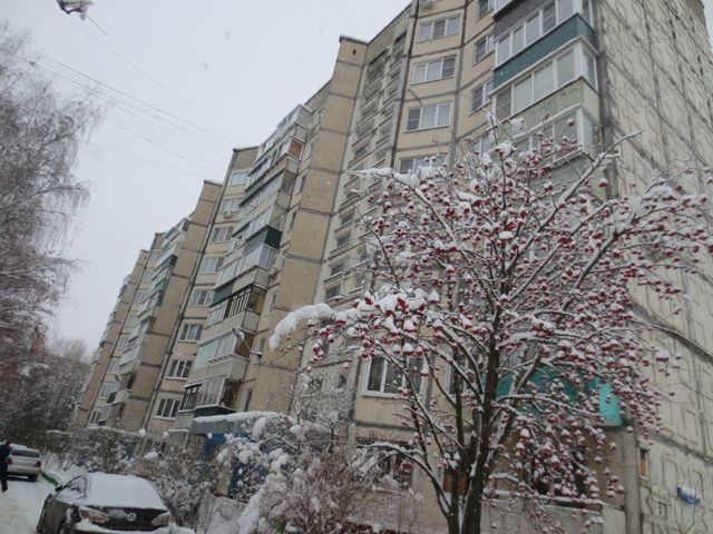 Панорама дома