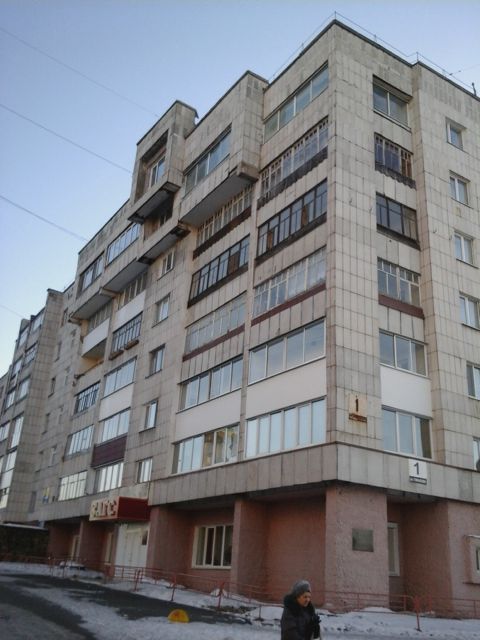 Панорама дома