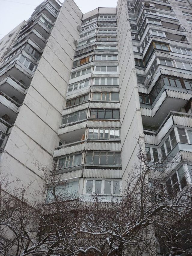 Панорама дома