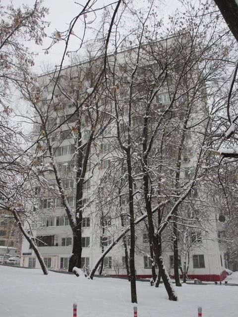 Панорама дома