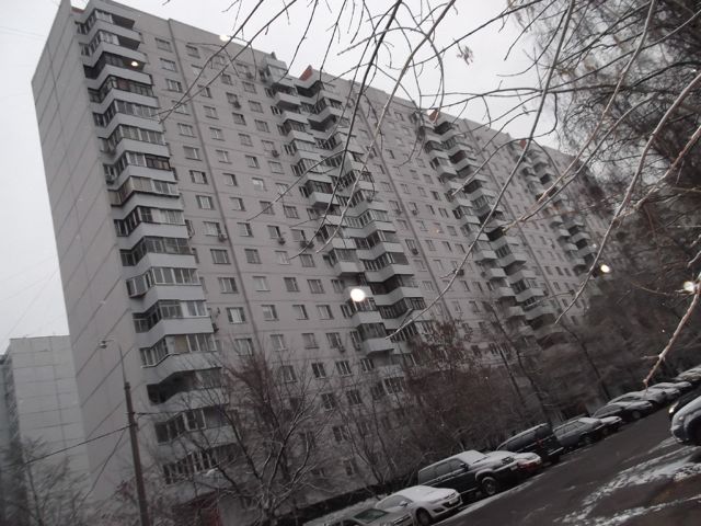 Панорама дома