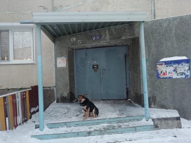 EntranceOutside