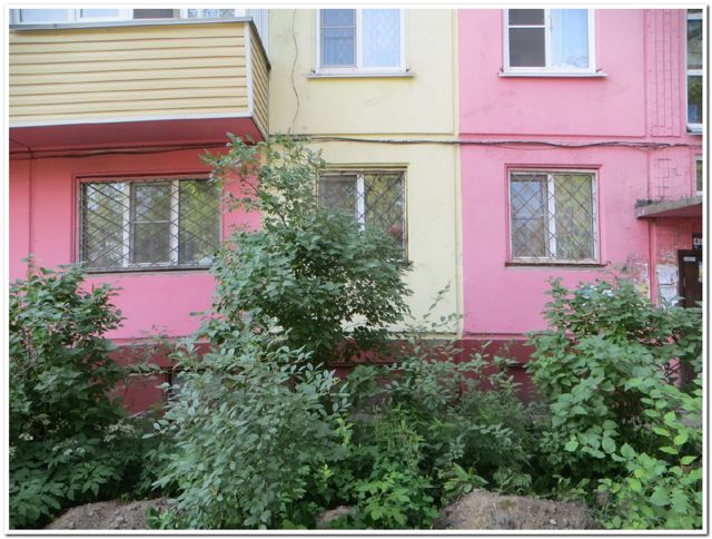 Панорама дома