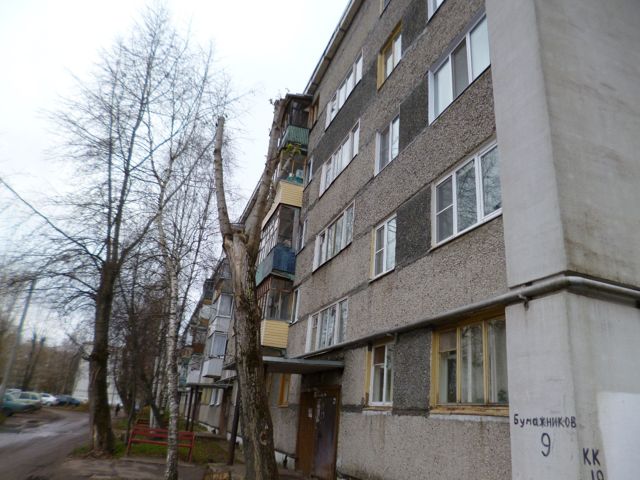 Панорама дома