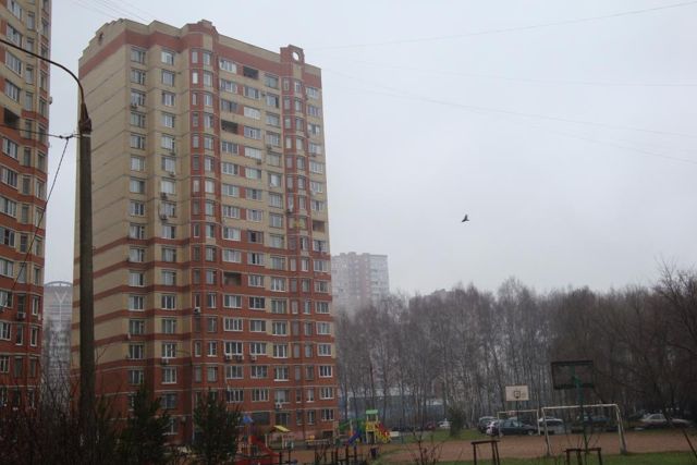 Панорама дома