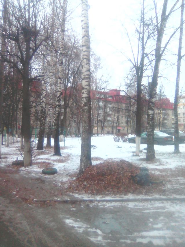 Territory