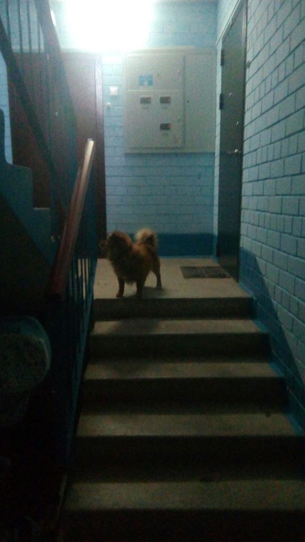EntranceInside