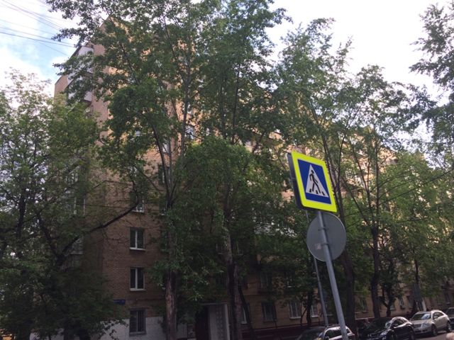 Панорама дома