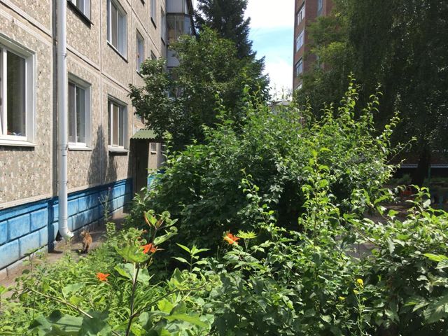 фото дома