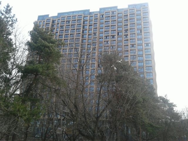 Панорама дома