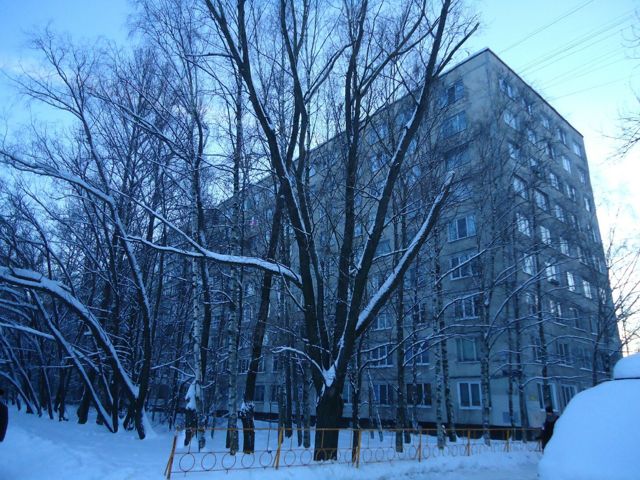 Панорама дома