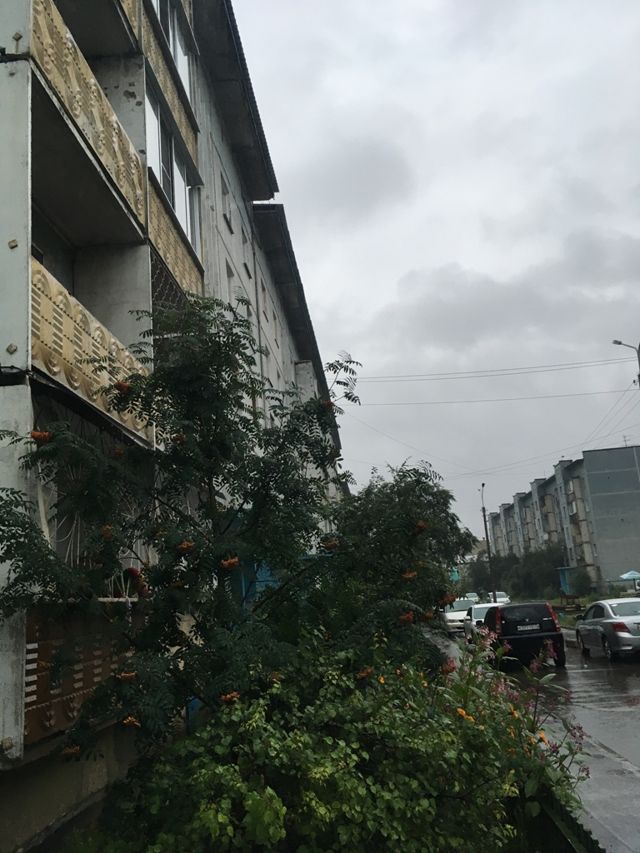 Панорама дома