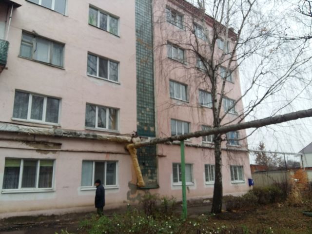 Facade