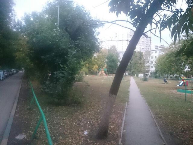 Territory