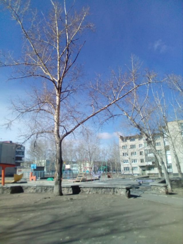 Territory