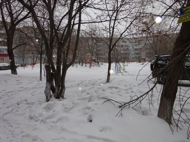 Territory
