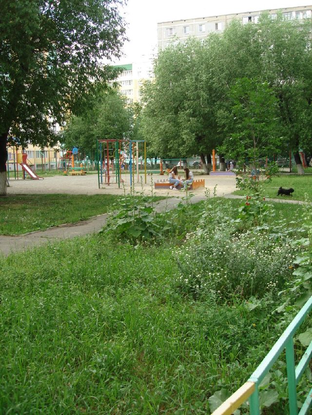 Territory