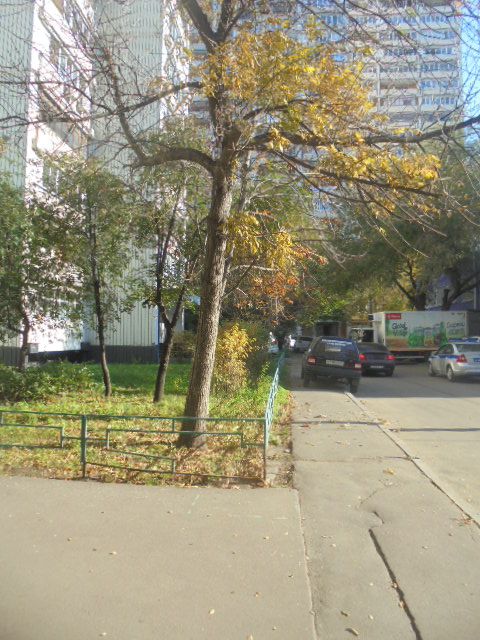 Territory