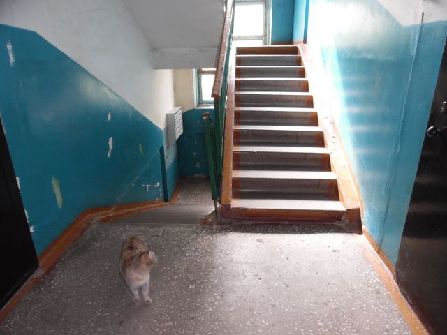 EntranceInside