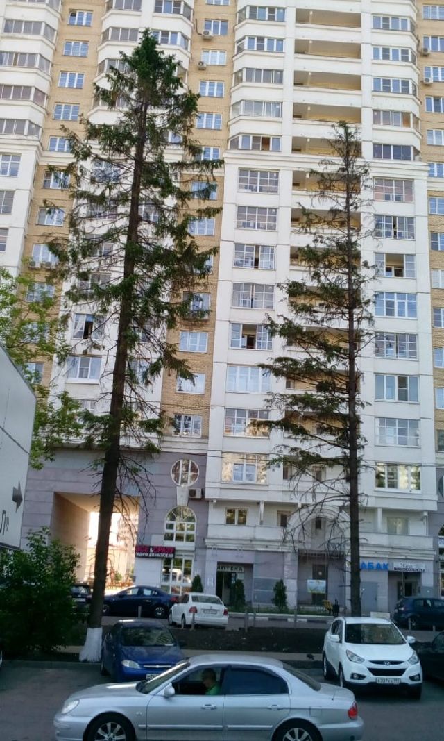 Панорама дома