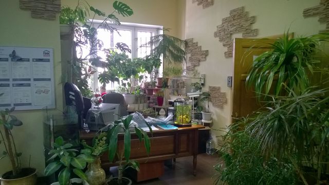 EntranceInside