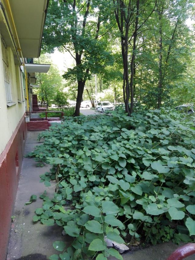 Territory