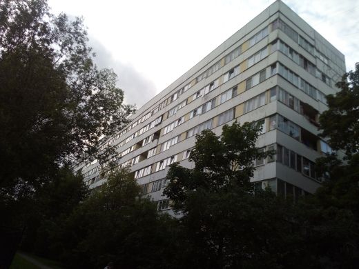 Панорама дома