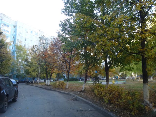 Territory