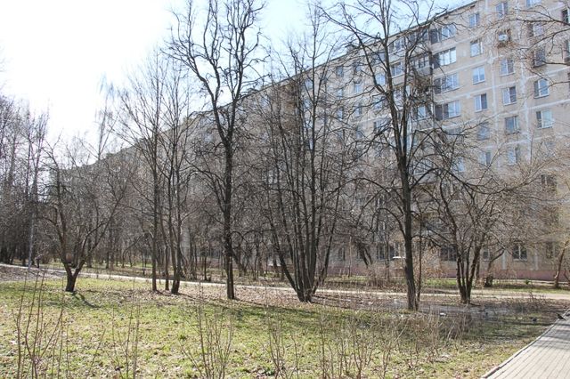 Панорама дома