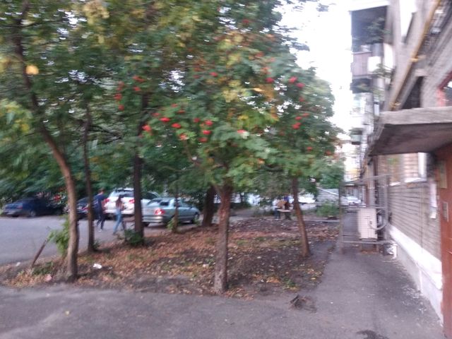 Territory