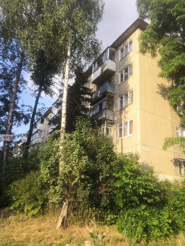 Панорама дома