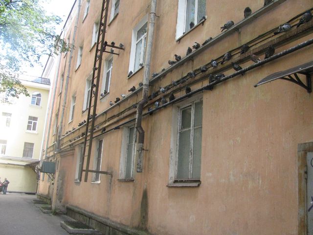 Панорама дома
