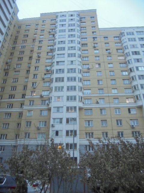 Панорама дома