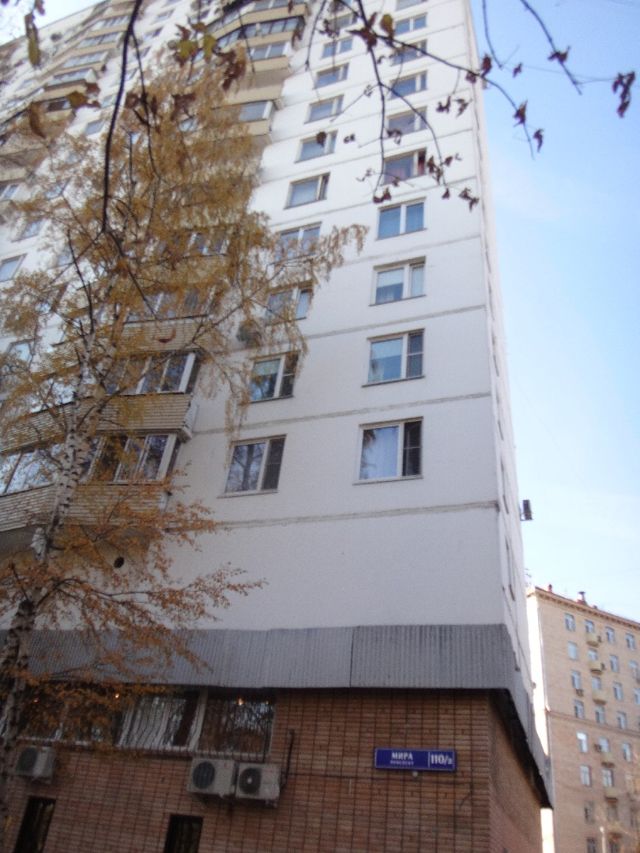 Панорама дома