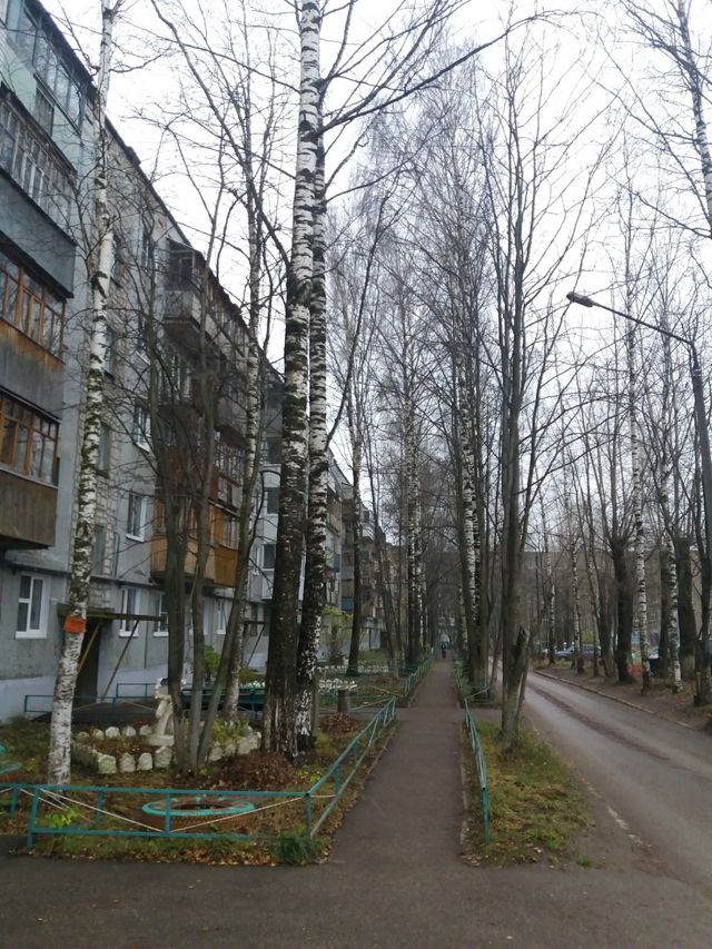 Панорама дома