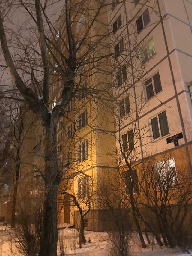 Панорама дома