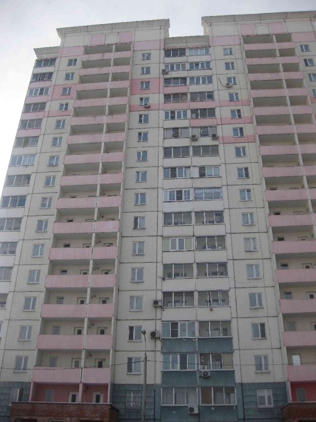 Панорама дома