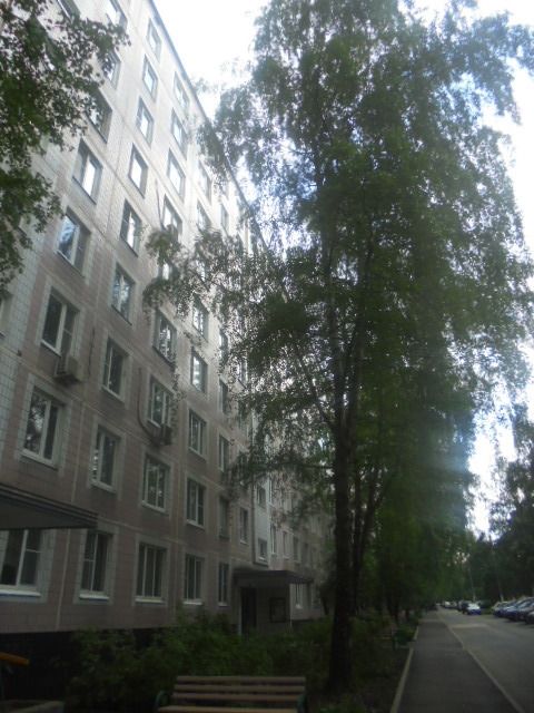 Панорама дома