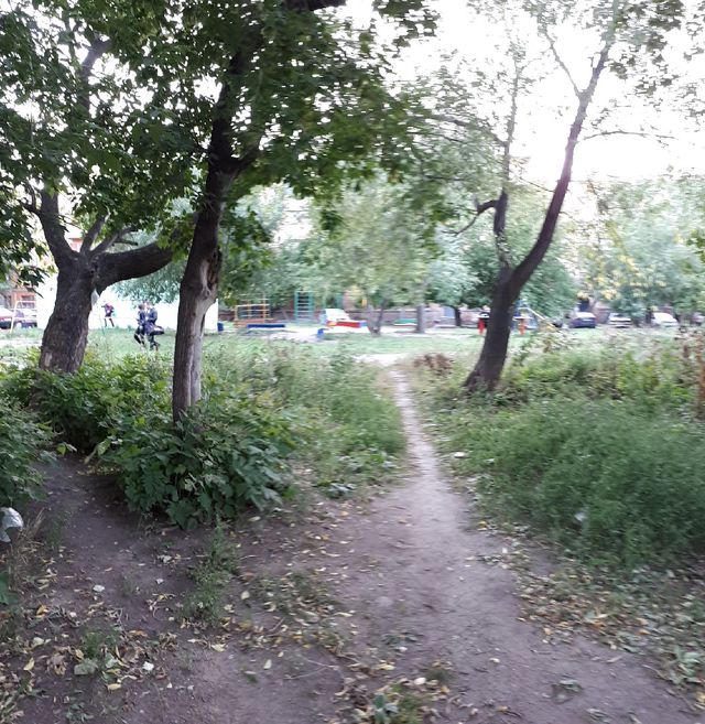 Territory