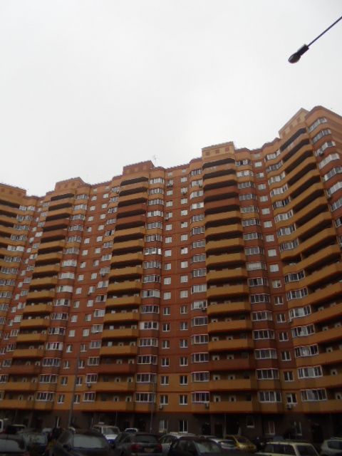Панорама дома