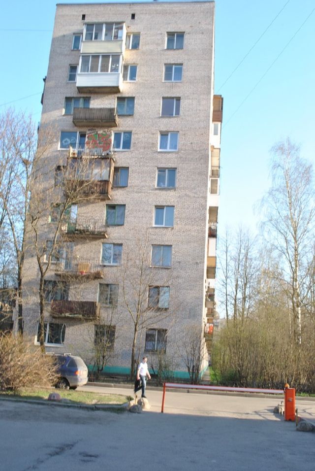 Панорама дома