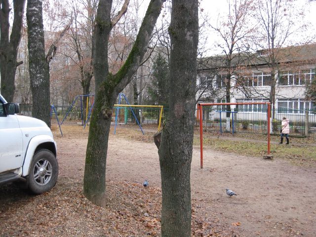 Territory