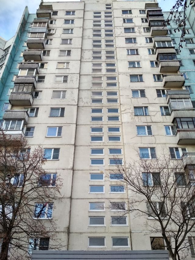 Панорама дома